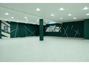 Зал THE SOUL SPACE SNAKE