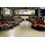 Monza Karting