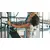 Студия-фитнеса ID Fitness, изображение 7