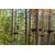 Парк активного отдыха Adventure Park, изображение 3
